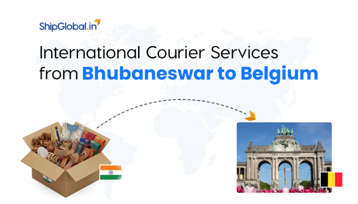 Best International Courier Service from Bhubaneswar to Belgium