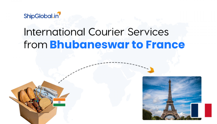 Best International Courier Service from Bhubaneswar to France
