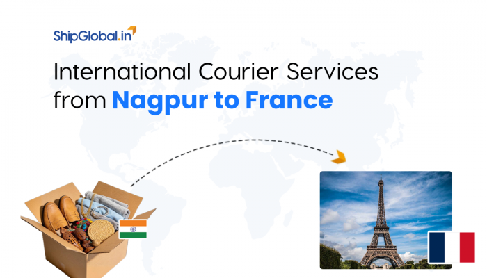 International Courier Service from Nagpur to France